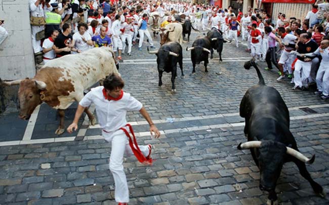1. Lễ hội đấu bò tót Tây Ban Nha: Lễ hội này có tên gọi là San Fermin hay Running of the Bulls; diễn ra ở thành phố Pamplona, từ ngày 6 – 14/7 hàng năm. 
