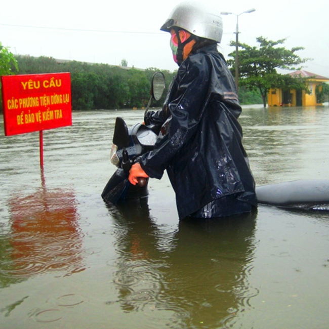 “Yêu cầu các phương tiện dừng lại để bảo vệ kiểm tra” (bảo vệ đang bơi ra)