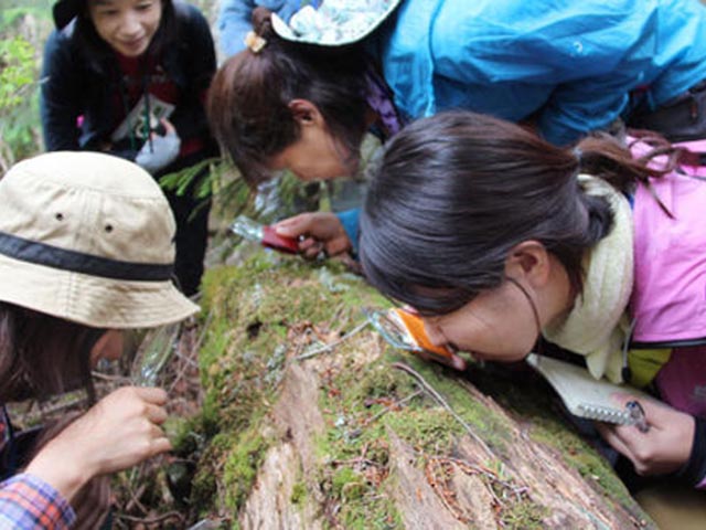 Phụ nữ Nhật rộ mốt ngắm rêu để xả stress - 1