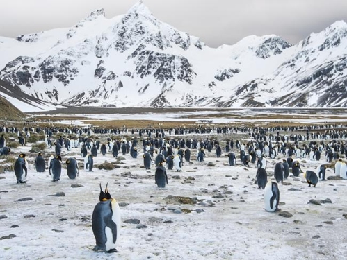 5 địa danh đẹp mê hồn nhưng lại "làm khó" du khách - 7