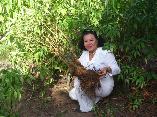 Chăm sóc sức khỏe dễ dàng với Trà Hoàn Ngọc - 1