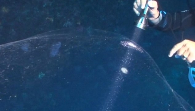 Video: Quả cầu nước khổng lồ dưới đáy đại dương - 1