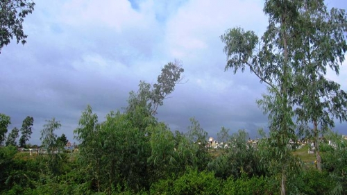 Ba tù nhân táo tợn, đục tường trốn chạy lúc nửa đêm - 2