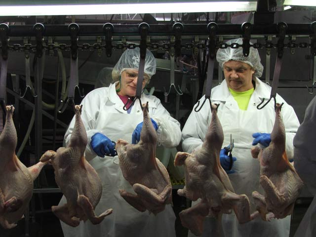 Phía Mỹ phủ nhận bán phá giá thịt gà ở Việt Nam - 1