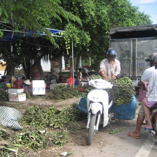 Đến lượt cau tươi tăng giá chóng mặt - 2