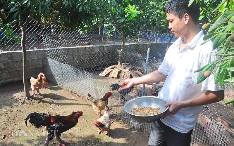 Tìm về mảnh đất có nhiều tỷ phú nhất, nhì VN - 3