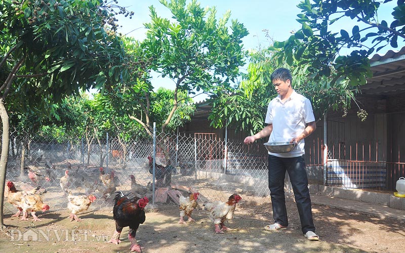 Tìm về mảnh đất có nhiều tỷ phú nhất, nhì VN - 4