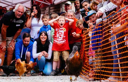 Cuộc thi gà chạy nước rút độc nhất vô nhị ở Anh - 10