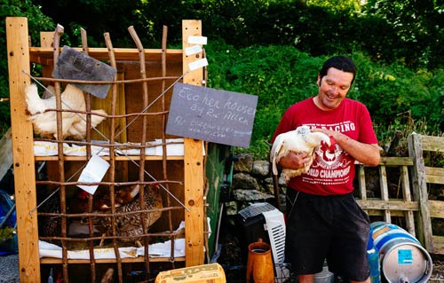 Cuộc thi gà chạy nước rút độc nhất vô nhị ở Anh - 1