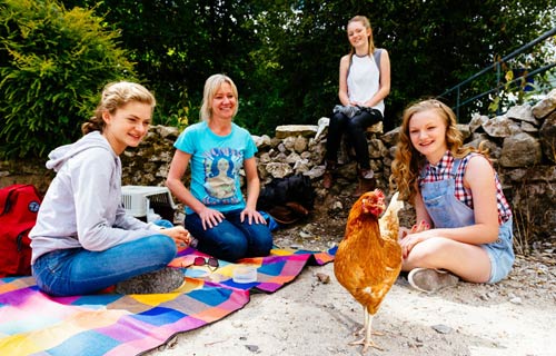 Cuộc thi gà chạy nước rút độc nhất vô nhị ở Anh - 2