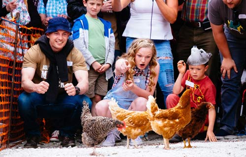 Cuộc thi gà chạy nước rút độc nhất vô nhị ở Anh - 6