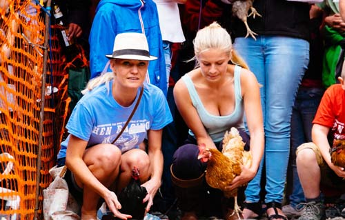 Cuộc thi gà chạy nước rút độc nhất vô nhị ở Anh - 5