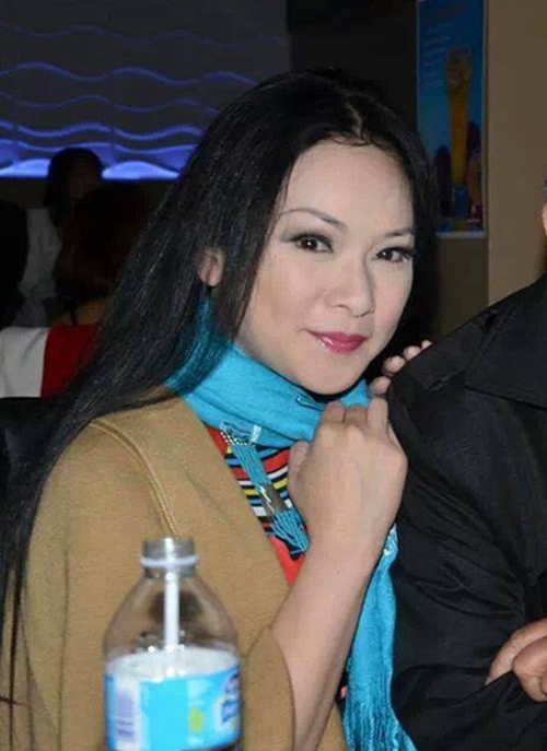 Nhan sắc thay đổi của ca sĩ hải ngoại Như Quỳnh - 14