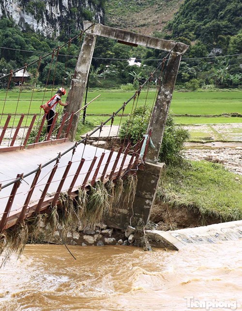 Thót tim nhìn dân vùng lũ liều mình đi trên cầu sắp đổ - 3