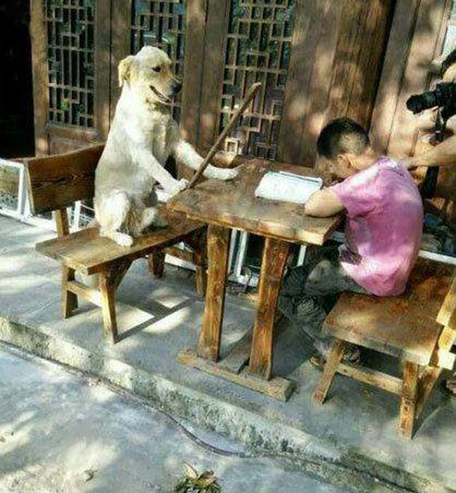 Tập trung vào học bài đi nào.
