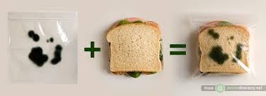 Những phát minh độc dị có một không hai - 12