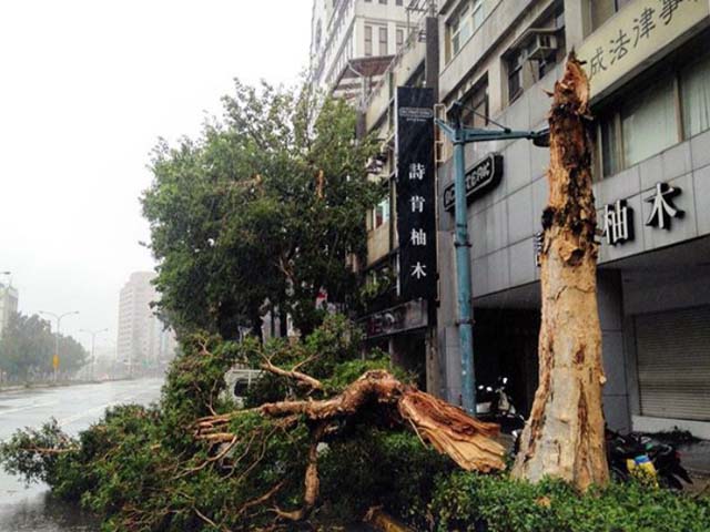 Toàn cảnh siêu bão mạnh nhất 2015 tàn phá Đài Loan - 1
