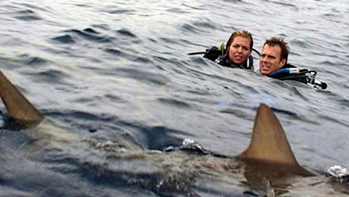 Những kỳ nghỉ "kinh hoàng" trên màn ảnh rộng - 5