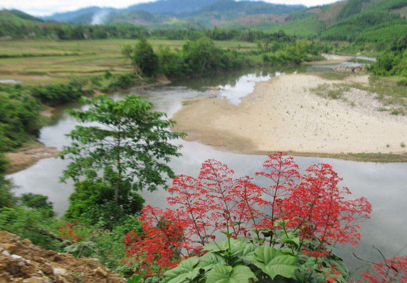 Tự chế dụng cụ bắt cá suối, kiếm nửa triệu một ngày - 2