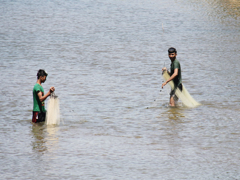 Tự chế dụng cụ bắt cá suối, kiếm nửa triệu một ngày - 4