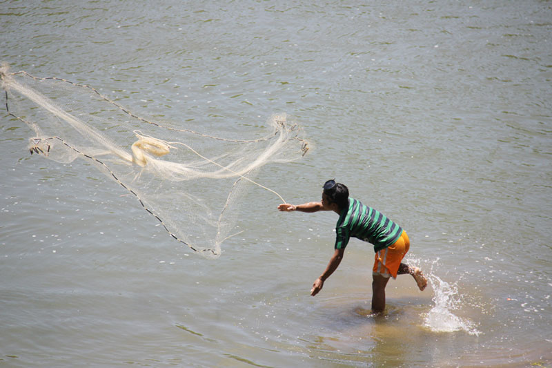 Tự chế dụng cụ bắt cá suối, kiếm nửa triệu một ngày - 5