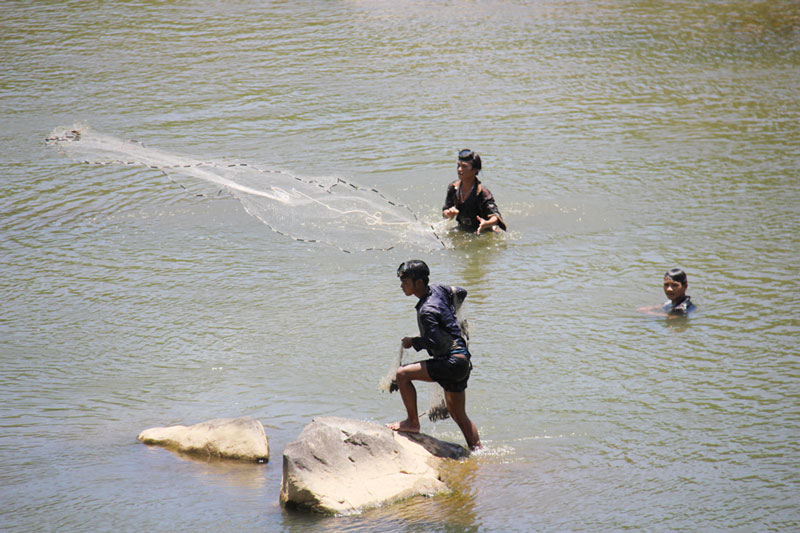 Tự chế dụng cụ bắt cá suối, kiếm nửa triệu một ngày - 6