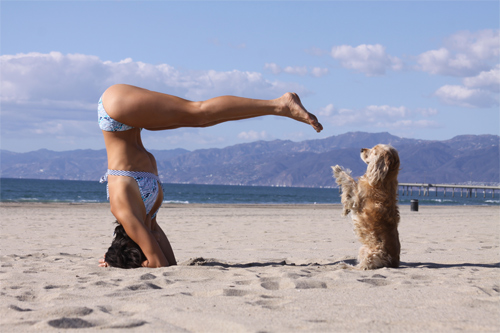 Người đẹp gợi cảm mặc bikini tập yoga điêu luyện - 1