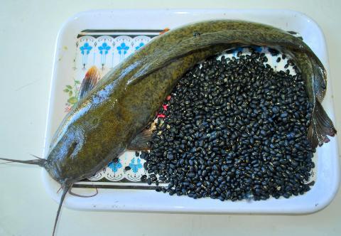 Các loại thịt, cá chữa yếu sinh lý cho đàn ông - 2