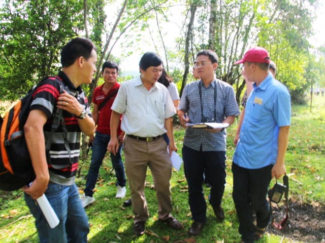 Cầu treo phục vụ vài hộ dân: Tổng cục Đường bộ trả lời câu hỏi nóng - 2