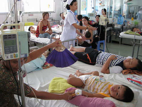 Dịch sốt xuất huyết đang hoành hành tại Hà Nội và TP.HCM - 1
