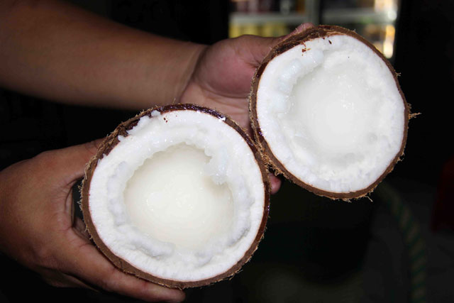 Đặc sản dừa sáp Cầu Kè thơm ngon gần triệu đồng một cây giống - 1