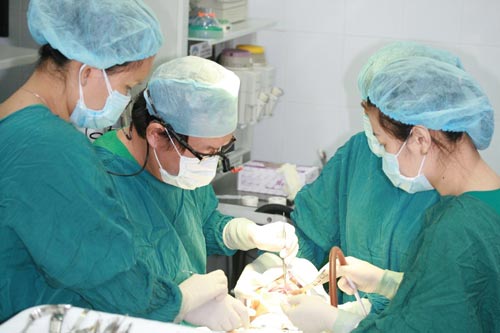 Implant xương gò má – Giải pháp cứu cánh cho trường hợp mất răng - 1