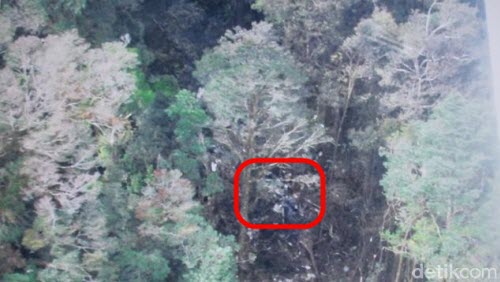 Hình ảnh đầu tiên từ hiện trường máy bay Indonesia rơi - 1