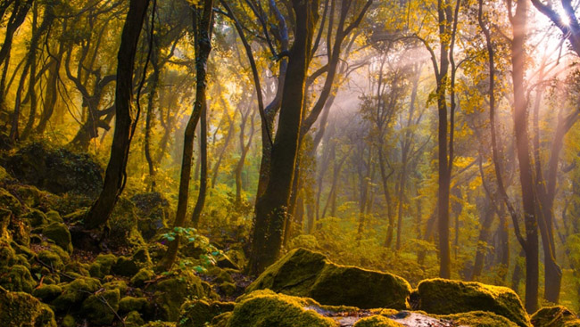 Nín thở trước những vùng đất huyền hoặc của nước Ý - 4