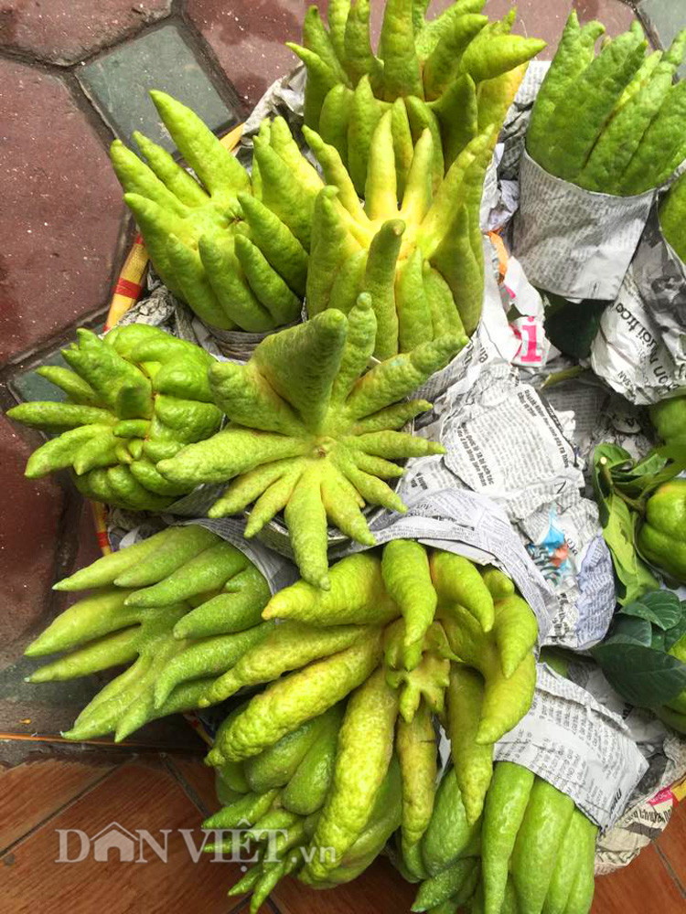 Phật thủ giá trăm nghìn đắt hàng trước rằm tháng Bảy - 14