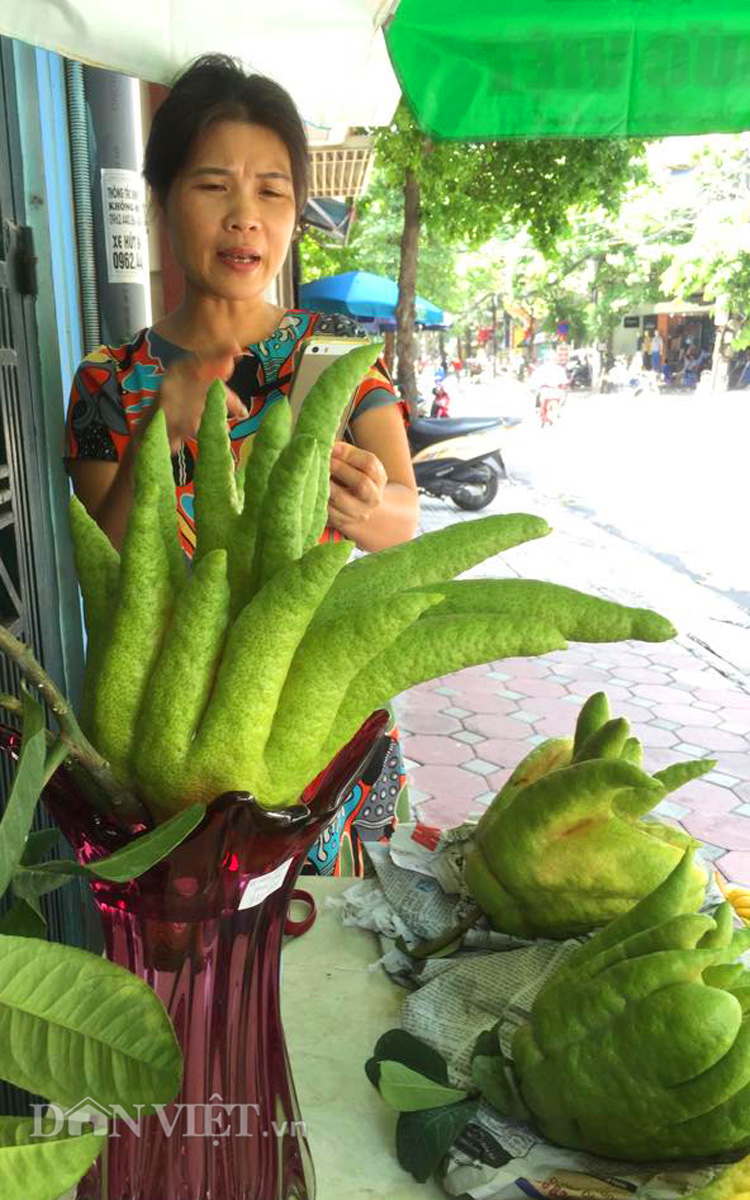 Phật thủ giá trăm nghìn đắt hàng trước rằm tháng Bảy - 13