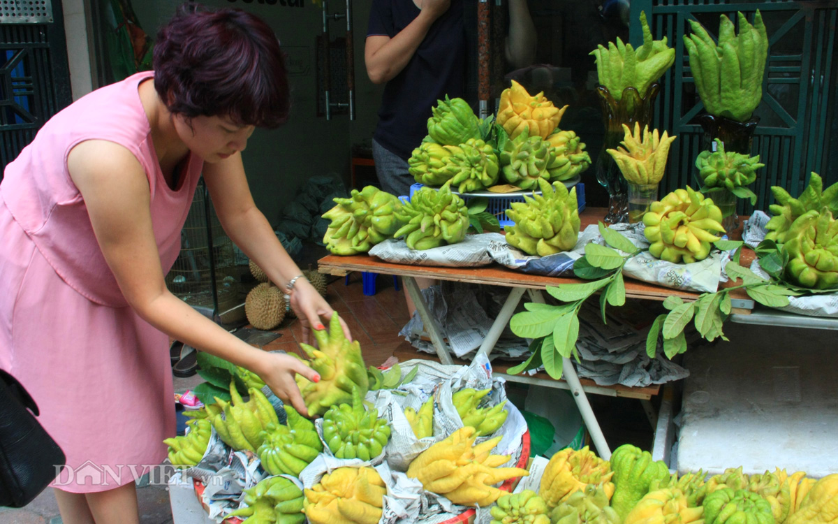 Phật thủ giá trăm nghìn đắt hàng trước rằm tháng Bảy - 3