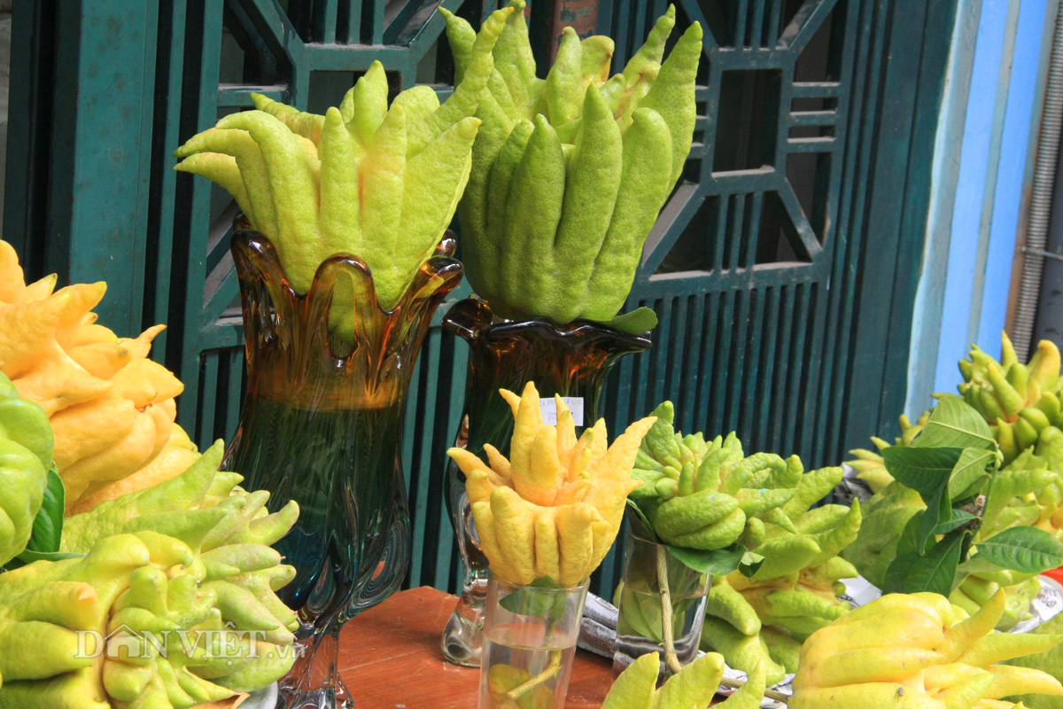 Phật thủ giá trăm nghìn đắt hàng trước rằm tháng Bảy - 4