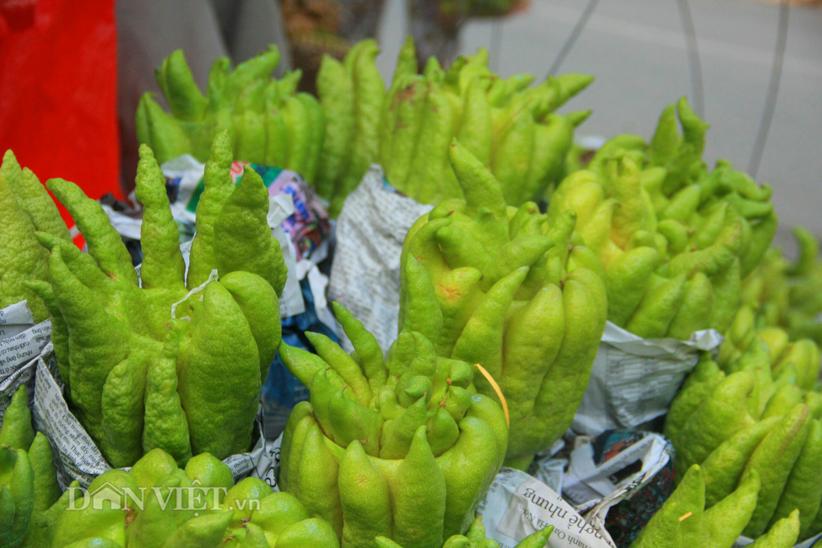 Phật thủ giá trăm nghìn đắt hàng trước rằm tháng Bảy - 8