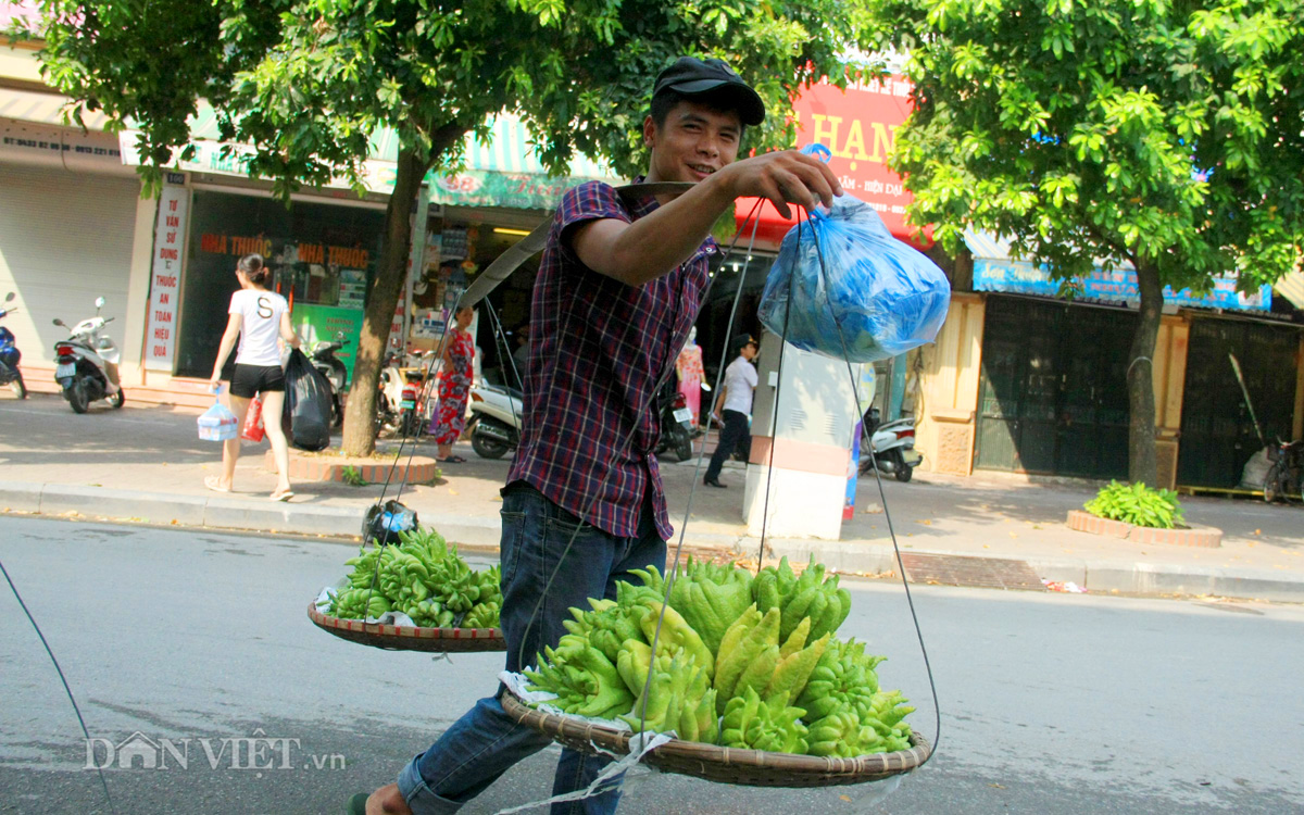 Phật thủ giá trăm nghìn đắt hàng trước rằm tháng Bảy - 6