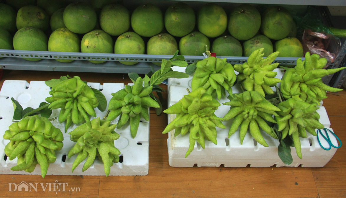 Phật thủ giá trăm nghìn đắt hàng trước rằm tháng Bảy - 10