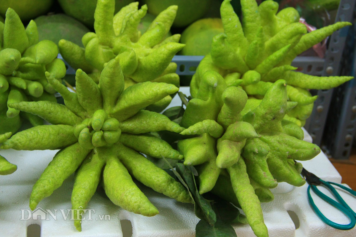 Phật thủ giá trăm nghìn đắt hàng trước rằm tháng Bảy - 11