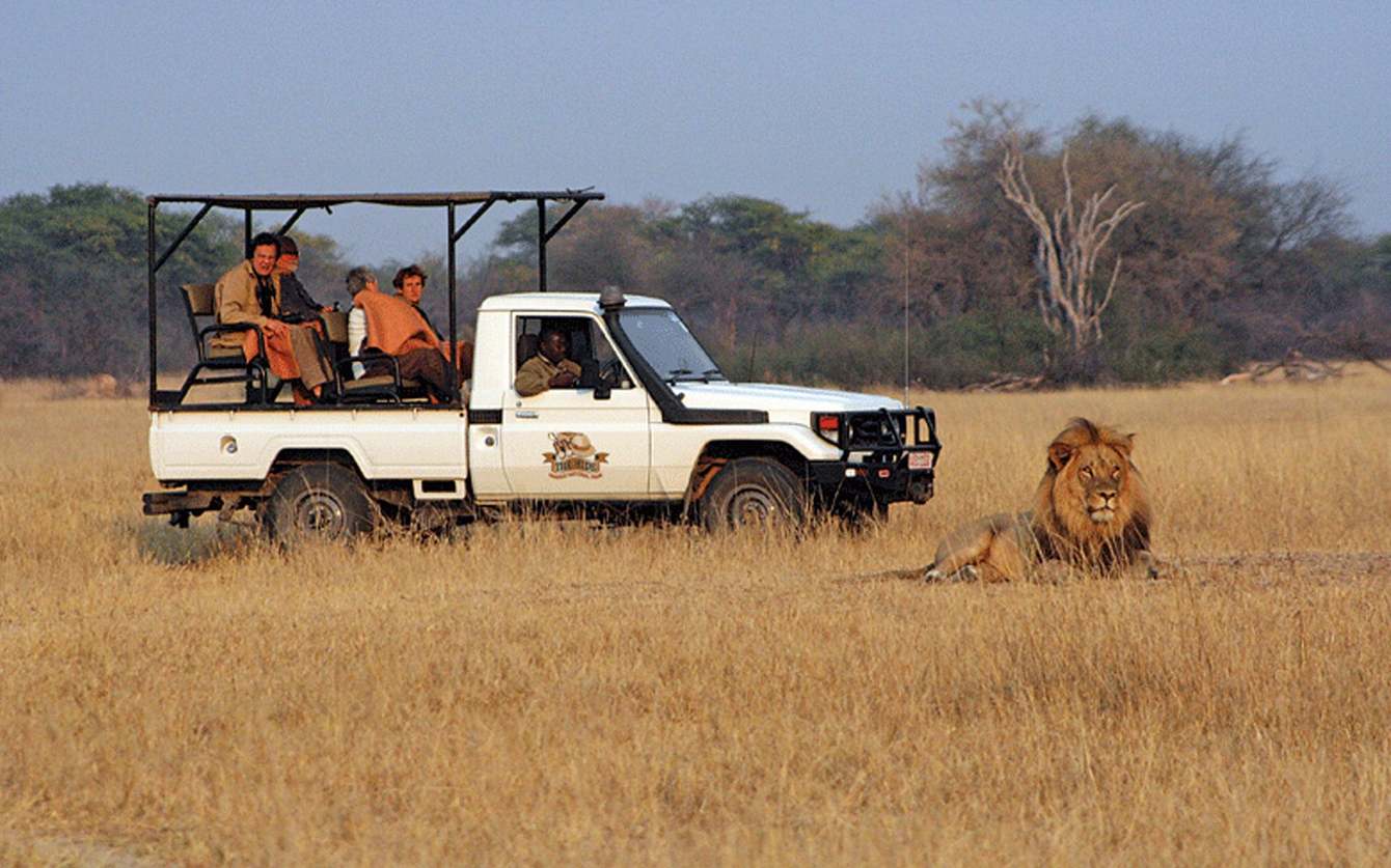 Zimbabwe: Hướng dẫn viên du lịch bị sư tử sát hại - 1