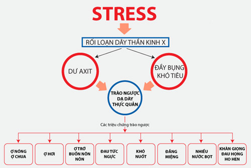 Bài thuốc đông y tối ưu cho người trào ngược dạ dày thực quản - 1