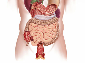 Cách chữa bệnh viêm đại tràng co thắt dai dẳng - 1