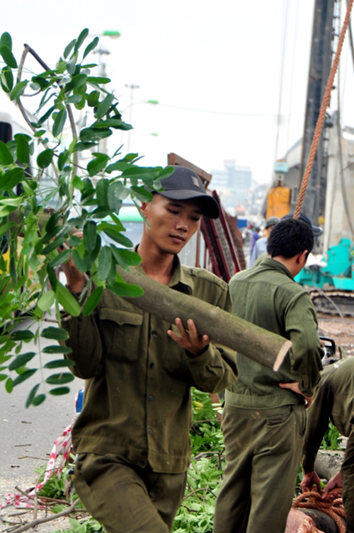 HN: Đốn xà cừ đường Láng, xây cầu vượt nút Cầu Giấy - 10