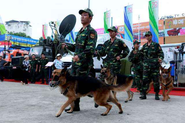 Xem chó nghiệp vụ tìm ma túy, đánh hơi người ở Thủ đô - 1
