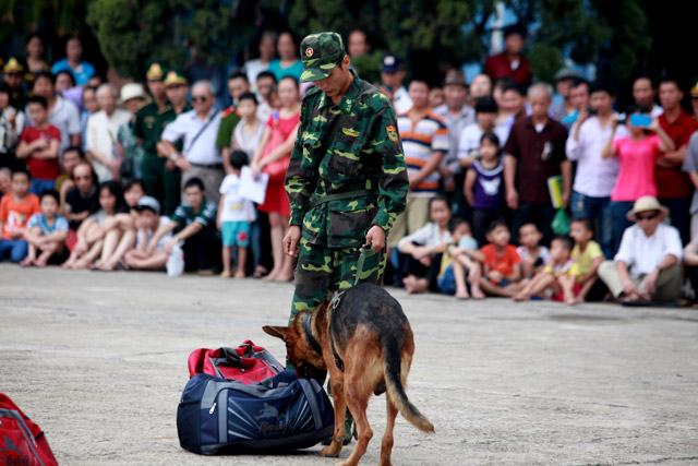 Xem chó nghiệp vụ tìm ma túy, đánh hơi người ở Thủ đô - 4
