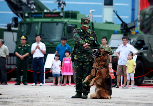 Xem chó nghiệp vụ tìm ma túy, đánh hơi người ở Thủ đô - 2