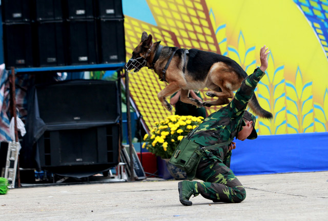 Xem chó nghiệp vụ tìm ma túy, đánh hơi người ở Thủ đô - 4